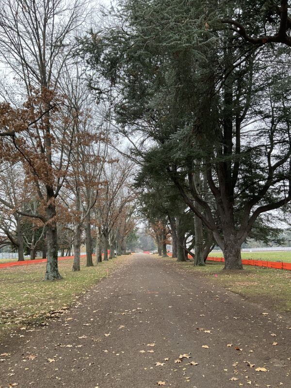 1300m installation in Canberra